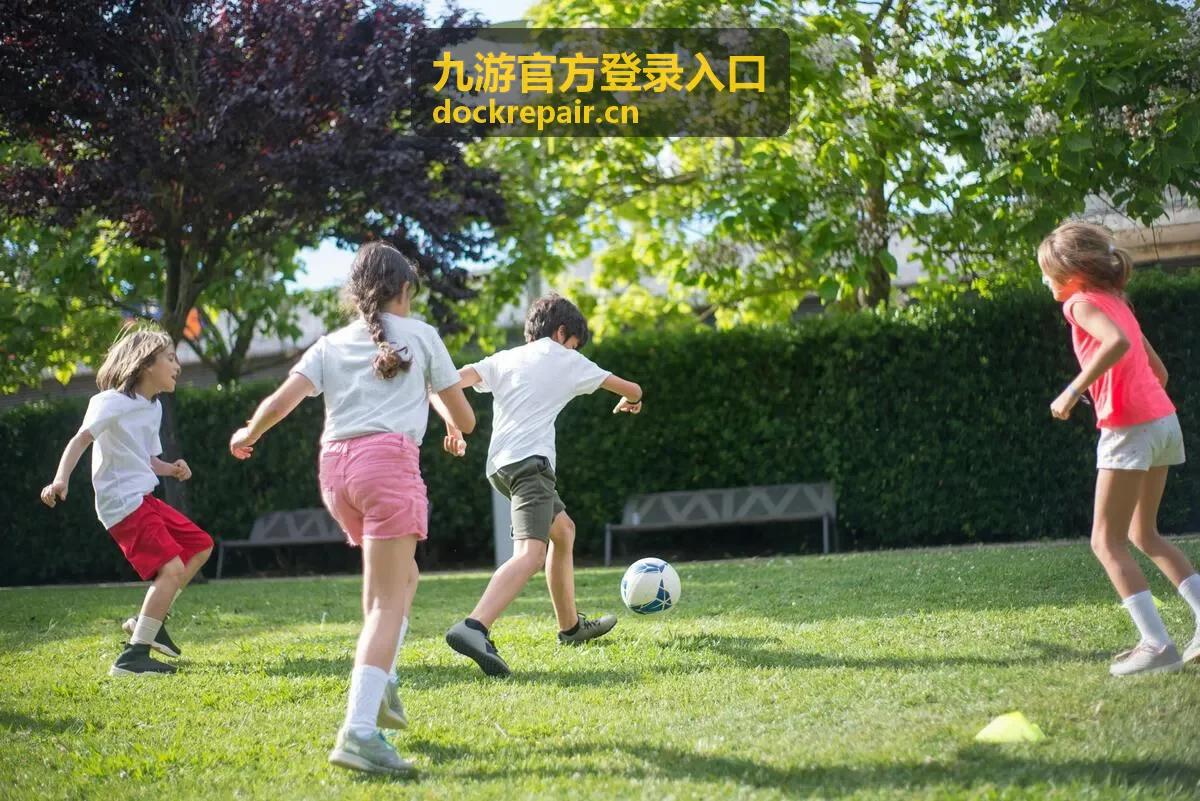 九游官方登录入口网页端通道步骤示意