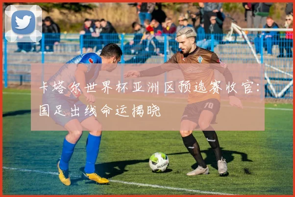 卡塔尔世界杯亚洲区预选赛收官：国足出线命运揭晓